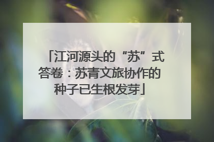 江河源头的“苏”式答卷：苏青文旅协作的种子已生根发芽