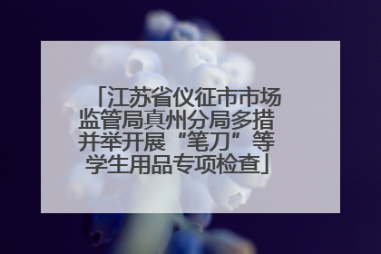 江苏省仪征市市场监管局真州分局多措并举开展“笔刀”等学生用品专项检查