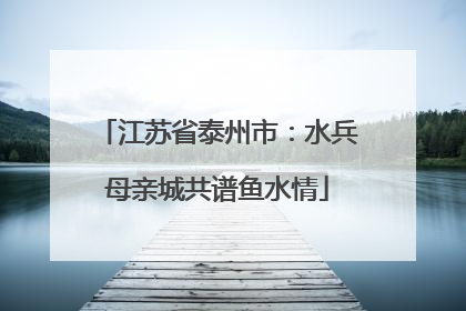 江苏省泰州市：水兵母亲城共谱鱼水情