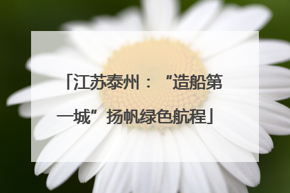 江苏泰州：“造船第一城”扬帆绿色航程