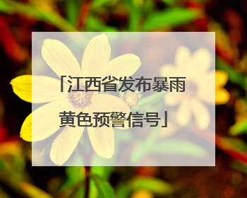 江西省发布暴雨黄色预警信号