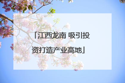 江西龙南 吸引投资打造产业高地