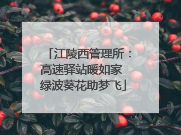 江陵西管理所：高速驿站暖如家 绿波葵花助梦飞