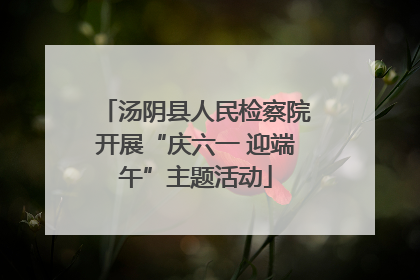 汤阴县人民检察院开展“庆六一 迎端午”主题活动