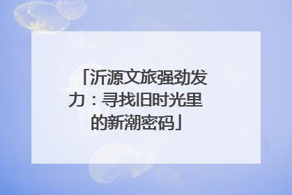 沂源文旅强劲发力：寻找旧时光里的新潮密码