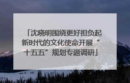 沈晓明围绕更好担负起新时代的文化使命开展“十五五”规划专题调研