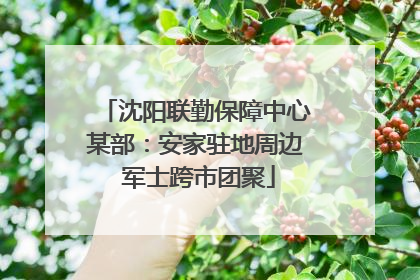 沈阳联勤保障中心某部：安家驻地周边 军士跨市团聚