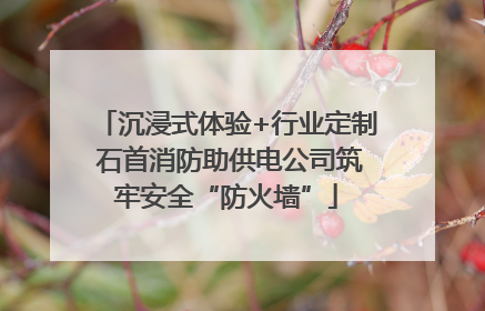 沉浸式体验+行业定制 石首消防助供电公司筑牢安全“防火墙”