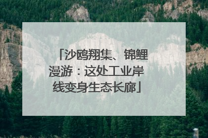 沙鸥翔集、锦鲤漫游：这处工业岸线变身生态长廊