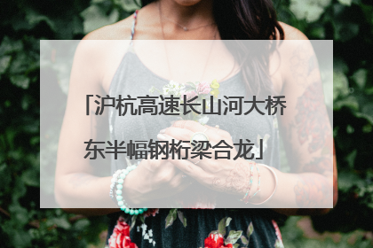沪杭高速长山河大桥东半幅钢桁梁合龙