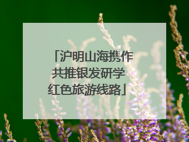 沪明山海携作 共推银发研学红色旅游线路
