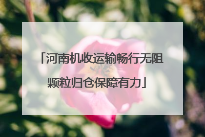 河南机收运输畅行无阻 颗粒归仓保障有力