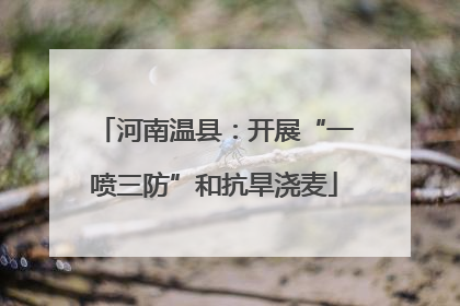 河南温县：开展“一喷三防”和抗旱浇麦
