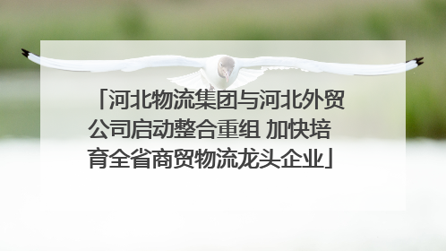 河北物流集团与河北外贸公司启动整合重组 加快培育全省商贸物流龙头企业