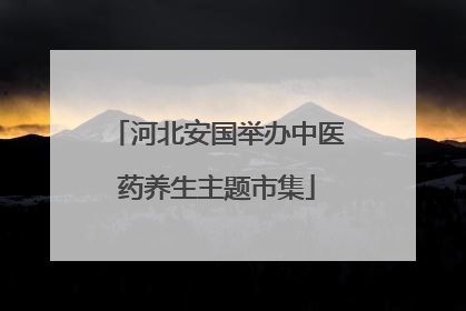 河北安国举办中医药养生主题市集