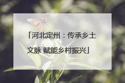 河北定州：传承乡土文脉 赋能乡村振兴