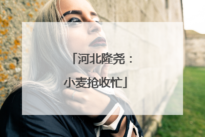 河北隆尧：小麦抢收忙