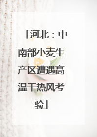 河北：中南部小麦生产区遭遇高温干热风考验