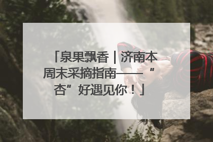 泉果飘香｜济南本周末采摘指南——“杏”好遇见你！