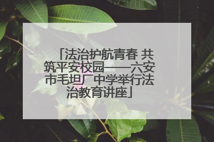法治护航青春 共筑平安校园——六安市毛坦厂中学举行法治教育讲座