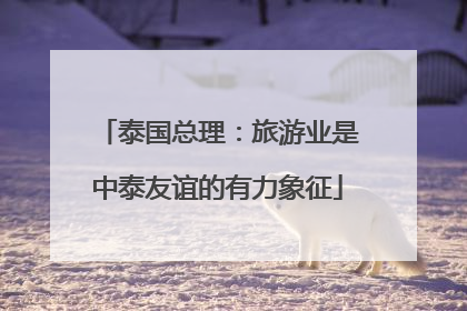泰国总理：旅游业是中泰友谊的有力象征