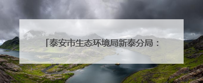 泰安市生态环境局新泰分局：靠前服务，精准护航绿色生产