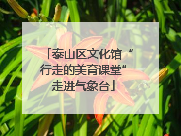 泰山区文化馆“行走的美育课堂”走进气象台