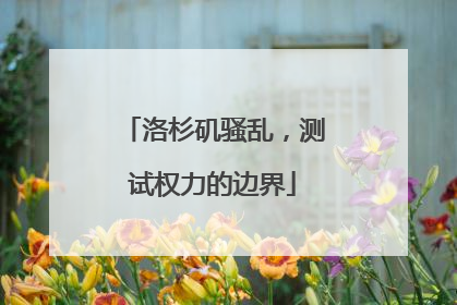 洛杉矶骚乱，测试权力的边界