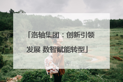 洛轴集团：创新引领发展 数智赋能转型