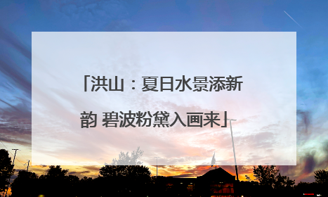 洪山：夏日水景添新韵 碧波粉黛入画来