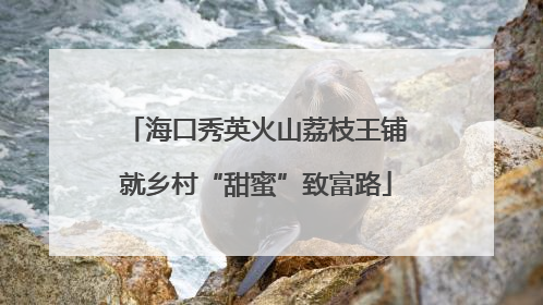 海口秀英火山荔枝王铺就乡村“甜蜜”致富路