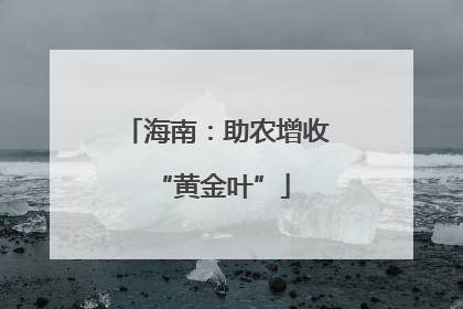 海南：助农增收 “黄金叶”