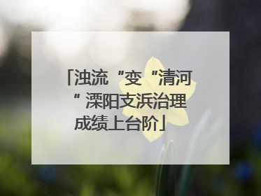 浊流“变“清河“ 溧阳支浜治理成绩上台阶