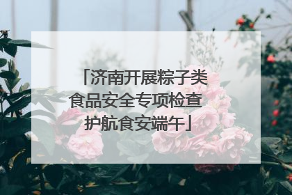 济南开展粽子类食品安全专项检查 护航食安端午