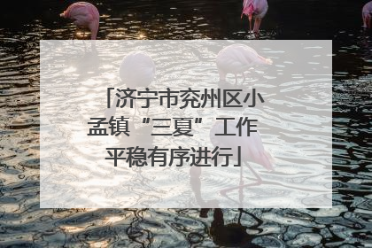 济宁市兖州区小孟镇“三夏”工作平稳有序进行