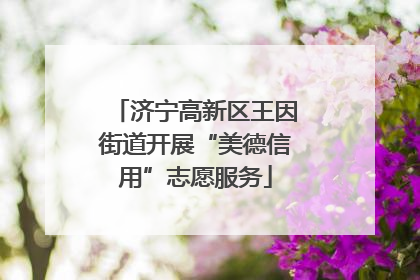济宁高新区王因街道开展“美德信用”志愿服务