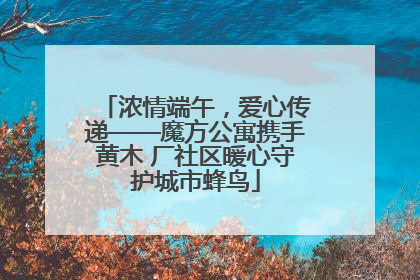 浓情端午，爱心传递——魔方公寓携手黄木 厂社区暖心守护城市蜂鸟