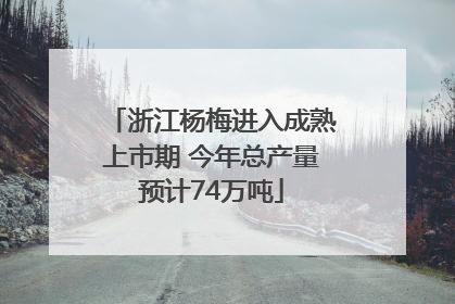 浙江杨梅进入成熟上市期 今年总产量预计74万吨