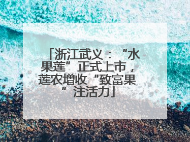 浙江武义：“水果莲”正式上市，莲农增收“致富果”注活力