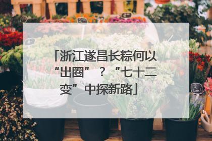 浙江遂昌长粽何以“出圈”？“七十二变”中探新路