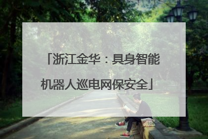 浙江金华：具身智能机器人巡电网保安全