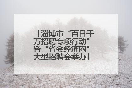 淄博市“百日千万招聘专项行动”暨“省会经济圈”大型招聘会举办