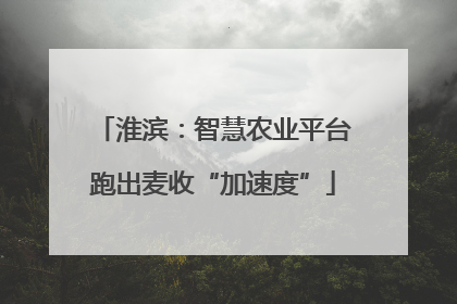 淮滨：智慧农业平台跑出麦收“加速度”