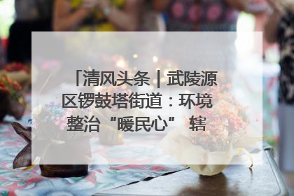 清风头条｜武陵源区锣鼓塔街道：环境整治“暖民心” 辖区面貌“靓”起来