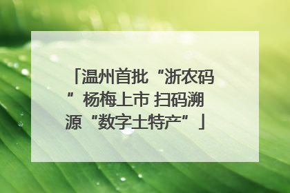 温州首批“浙农码”杨梅上市 扫码溯源“数字土特产”