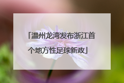 温州龙湾发布浙江首个地方性足球新政