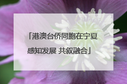 港澳台侨同胞在宁夏感知发展 共叙融合