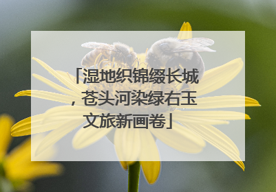 湿地织锦缀长城，苍头河染绿右玉文旅新画卷