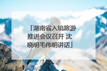 湖南省入境旅游推进会议召开 沈晓明毛伟明讲话