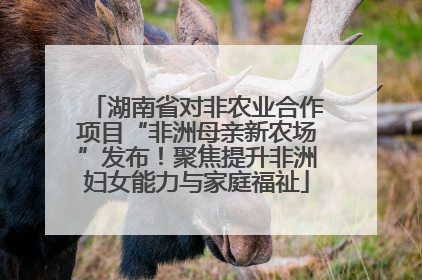 湖南省对非农业合作项目“非洲母亲新农场”发布！聚焦提升非洲妇女能力与家庭福祉